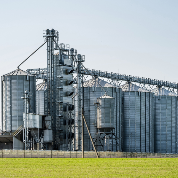 Rice Milling & Agro Processing