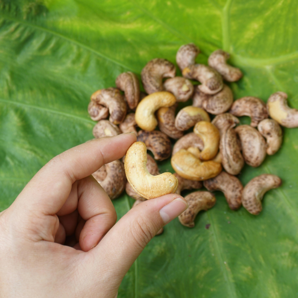 Cashew & Agricultural Commodity Trade