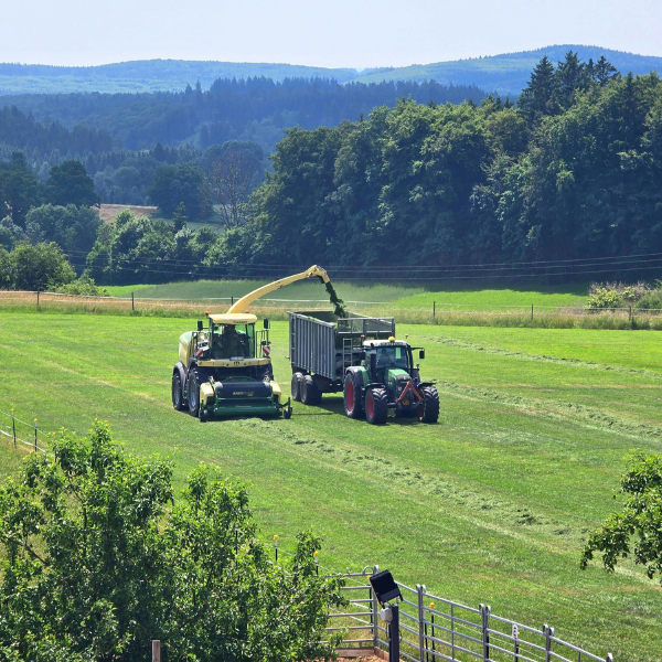 Organic Agricultural Exports