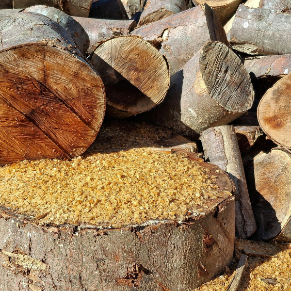 Teak Wood Processing & Export