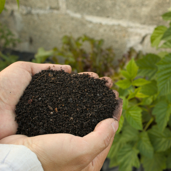 commitment to sustainability