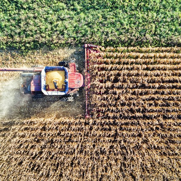 high-quality agricultural