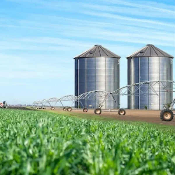 Rice Milling & Agro Processing